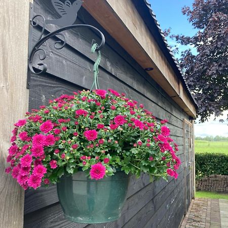 Vinkenbuurt De Barg 빌라 외부 사진