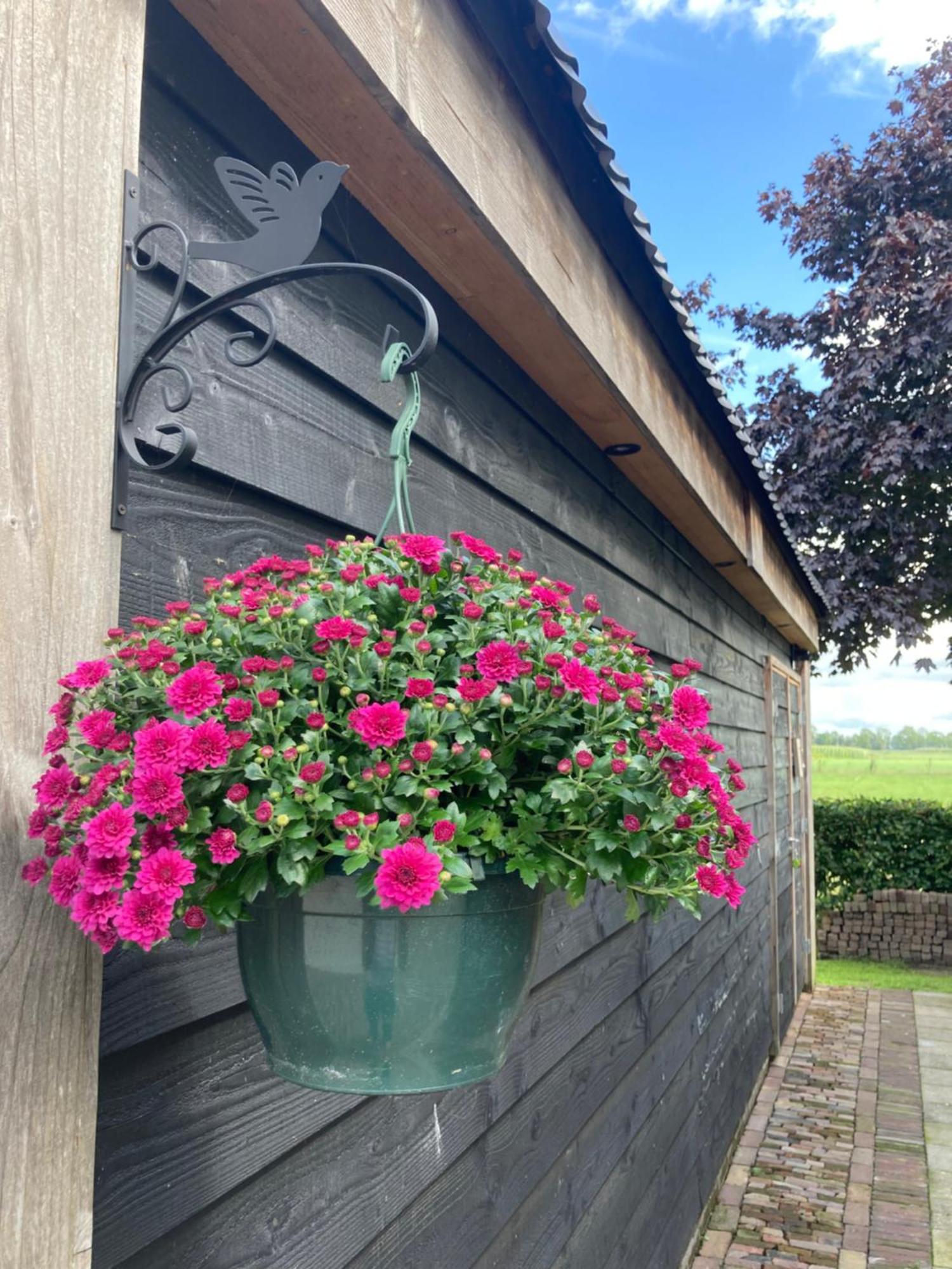Vinkenbuurt De Barg 빌라 외부 사진